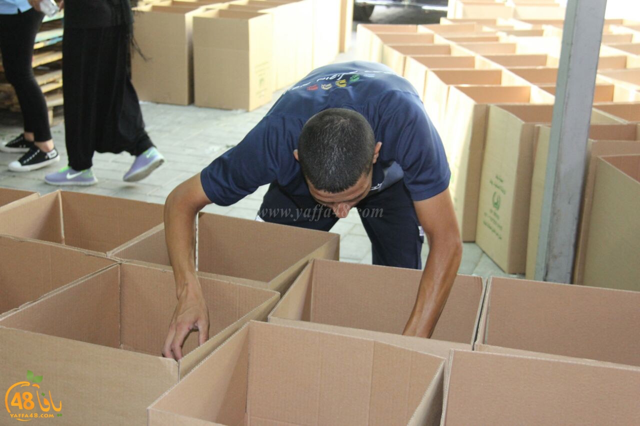 torody second marl7ala (6).jpg